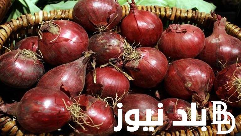 الكيلو بكام؟.. أسعار البصل اليوم في سوق العبور السبت 11 مايو 2024