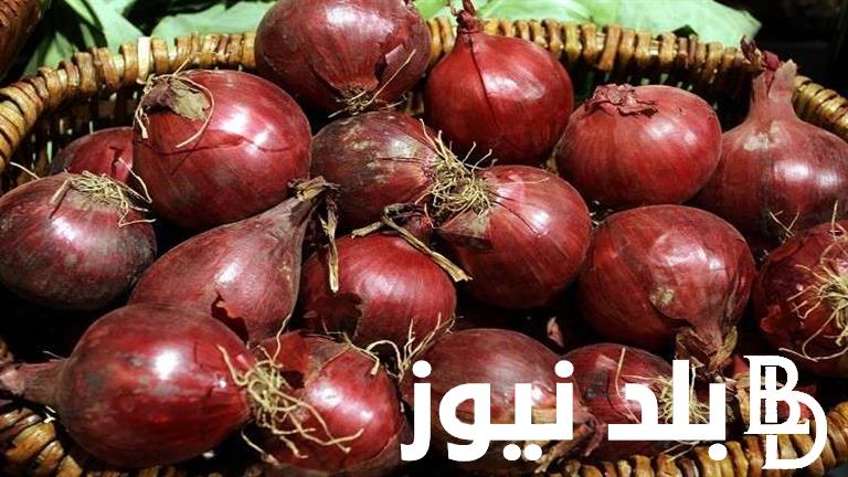 “شوف القنطار على كام” أسعار البصل الآن في سوق العبور والسوق المحلي للمستهلك