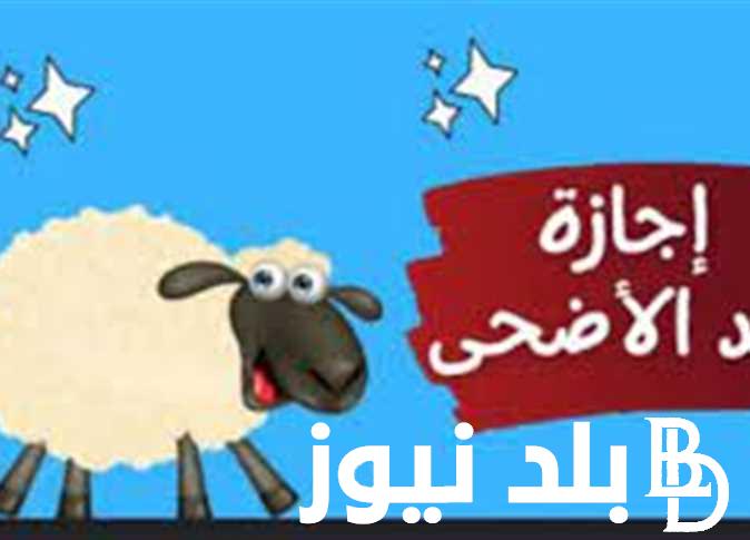 كان يوم؟.. اجازه عيد الاضحى المبارك 2024 مجلس الوزراء يوضح