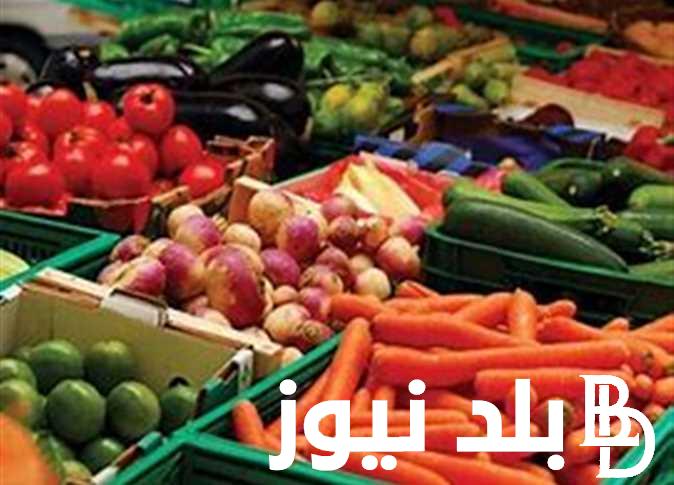 اسعار الخضار والفواكه في مصر اليوم الاحد 12 مايو 2024 لجميع المستهلكين