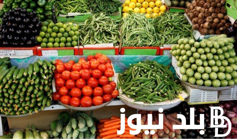 “الاسعار الجديدة” جدول اسعار الخضار اليوم الاربعاء 22 مايو 2024 في سوق العبور