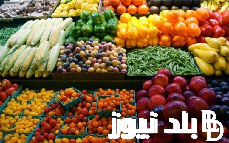 ننشر الان جدول اسعار الخضار اليوم الاثنين 27 مايو 2024 في سوق العبور