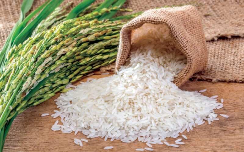 “رفيع وعريض الحبة” سعر طن الأرز الشعير اليوم الاثنين 27-5-2024 للتجار والمستهلكين في مصر