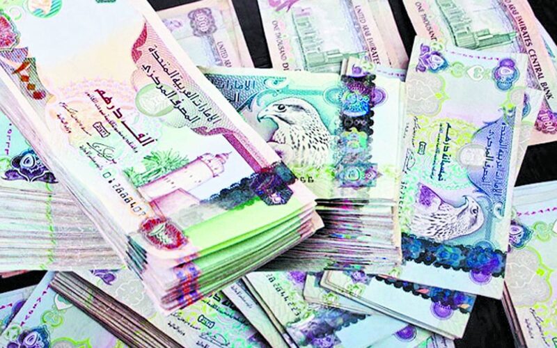 كم سعر الدرهم الإماراتي في السوق السوداء اليوم الاثنين 27 مايو 2024 في مصر