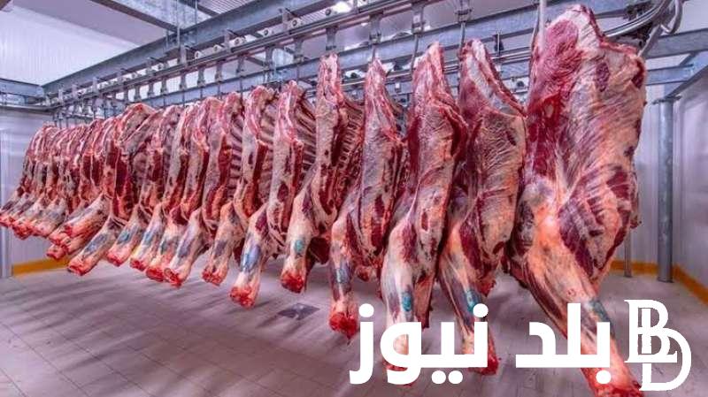 “بتلو وجملي” أسعار اللحوم اليوم الاربعاء 15 مايو 2024 في الاسواق ومنافذ وزارة الزراعة