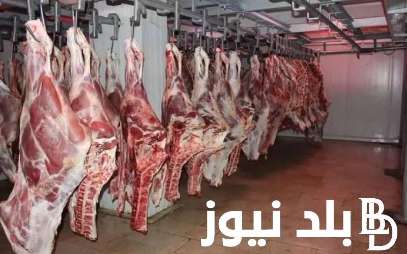” المفروم الجملي بـ360ج” اسعار اللحوم اليوم السبت 18 مايو 2024 في محلات الجزارة المصرية