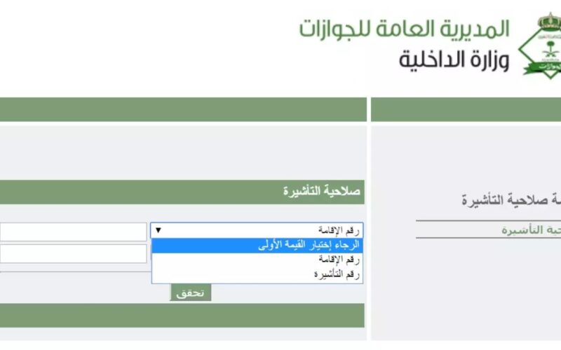 رابط الاستعلام عن تأشيرة السعودية برقم الجواز 2024 عبر موقع منصة التأشيرات الالكترونية visa.mofa.gov.sa