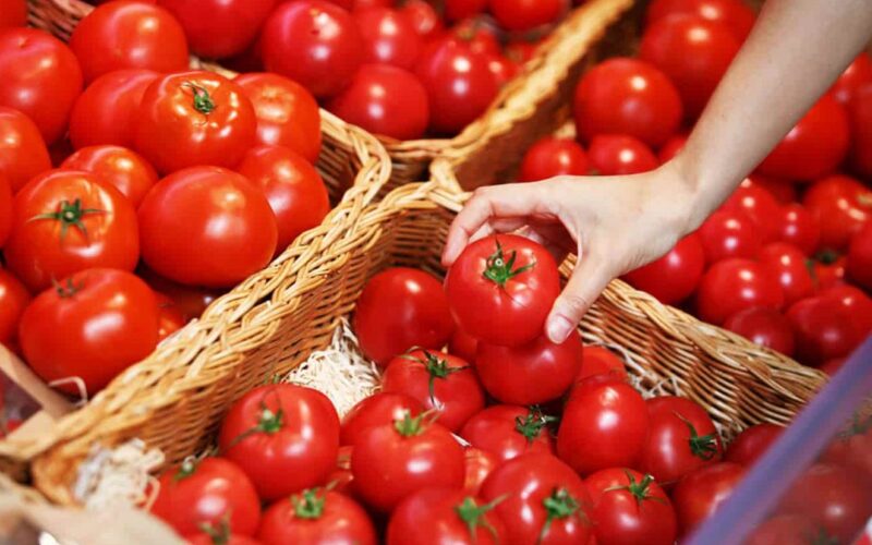 أسعار الطماطم اليوم في سوق العبور الاثنين 20 مايو 2024 وللمستهلك