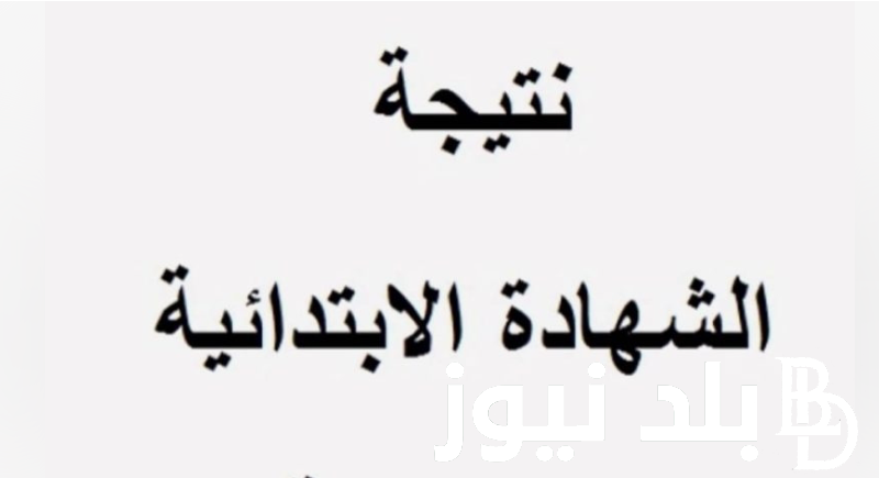 بالاسماء.. نتيجه الصف السادس الابتدائى برقم الجلوس 2024 جميع المحافظات عبر natiga-4dk.net