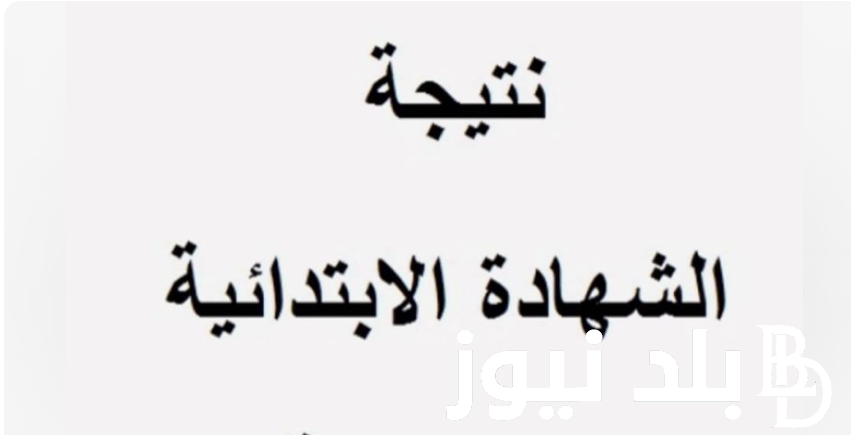 هُنــا “النتائج ظهرت فوراً” نتيجة الصف السادس الابتدائي الترم الثاني 2024 عبر موقع نتيجة نت natiga-4dk.net الكترونياً