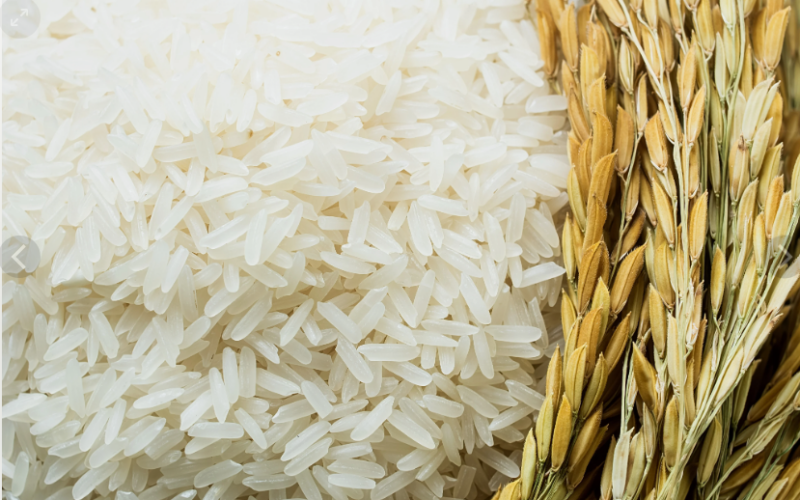 “رفيع ، عريض” سعر طن الأرز الشعير اليوم الجمعه 31 مايو 2024 في مصر للتجار والمستهلكين