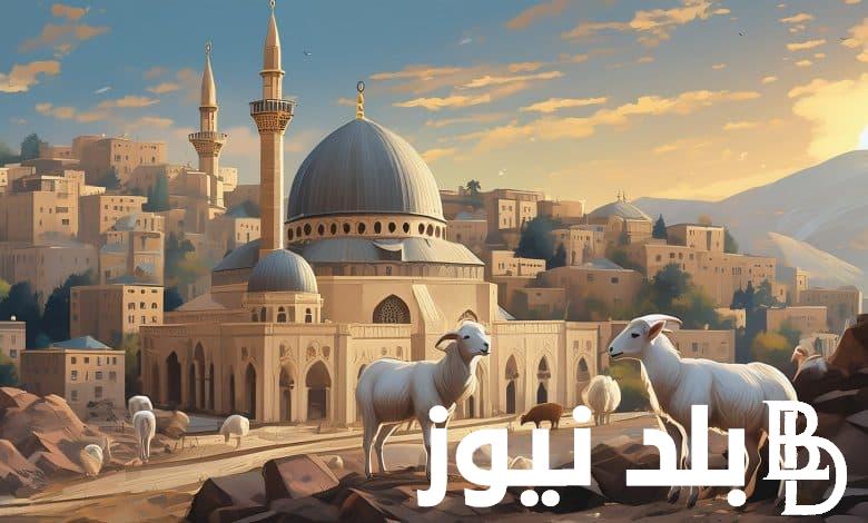 موعد اجازه عيد الاضحى المبارك 2024 وموعد وقفة عرفة.. اجازة طويلة للموظفين