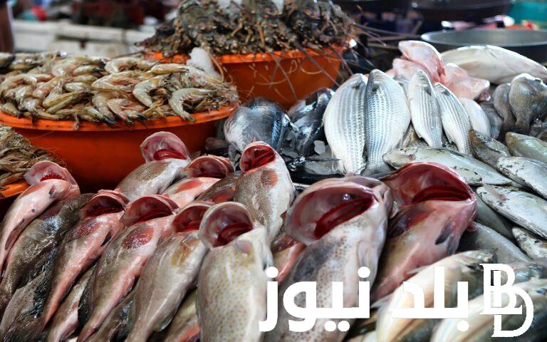 البلطي بكام؟.. اسعار السمك اليوم في سوق العبور بتاريخ 1 مايو 2024 للمستهلك في مصري