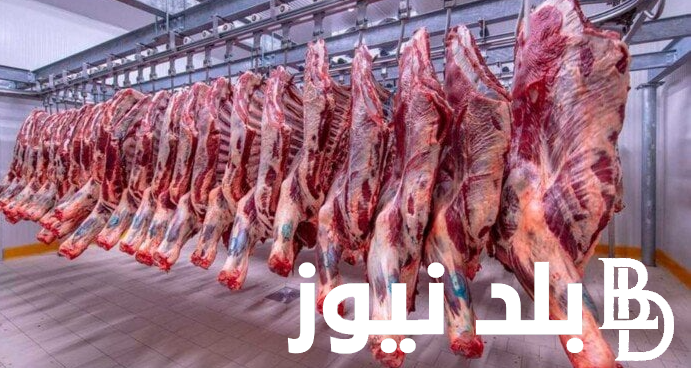قائمة اسعار اللحوم اليوم الجمعة 3 مايو 2024 في الأسواق وفي المنافذ الحكومية