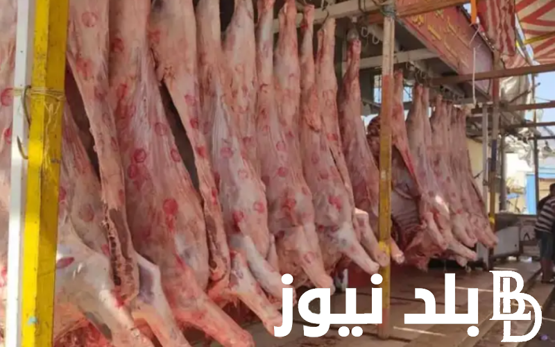 “اشتري قبل العيد” سعر كيلو اللحم البقري قائم اليوم 2024 للمستهلكين في جميع محلات الجزارة