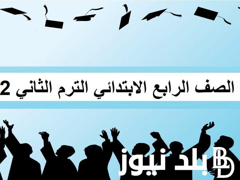 لينك فعّال.. نتيجة الصف الرابع الابتدائي الترم الثاني 2024 في كل المحافظات المصرية برقم الجلوس عبر نتيجة نت