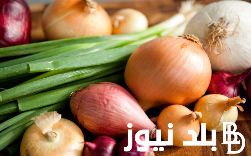 الطن بكام؟.. اسعار البصل اليوم الخميس 16 مايو 2024 في سوق العبور للمستهلكين