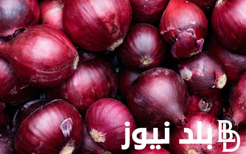الطن بكام؟.. اسعار البصل اليوم الاربعاء 22 مايو 2024 في سوق العبور