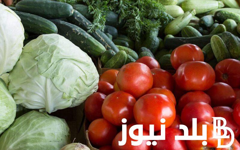 “جميع الانواع” اسعار الخضار اليوم الاربعاء 8 مايو 2024 في سوق العبور للمستهلك في مصر