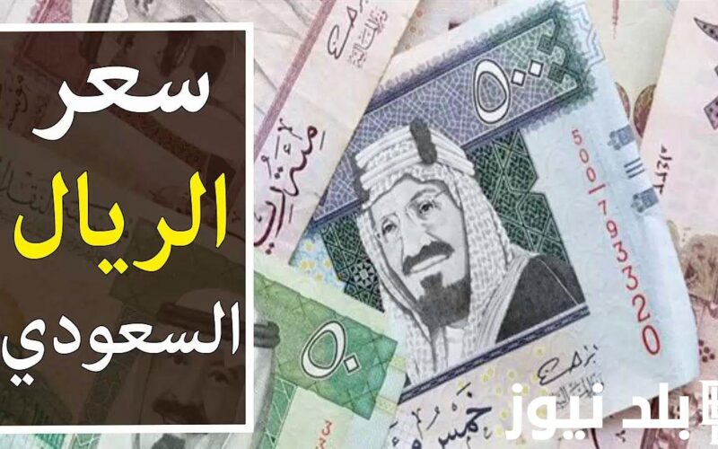 هتحج بكام؟.. سعر الريال السعودي في السوق السوداء اليوم الاربعاء 29 مايو 2024