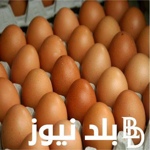 سعر البيض الأحمر اليوم الاربعاء 22 مايو 2024 في البورصة المصرية