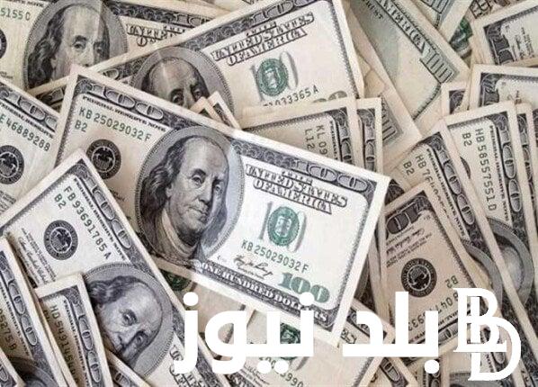 1000 دولار كم جنيه مصري في السوق السوداء؟ اليوم السبت 11 مايو 2024