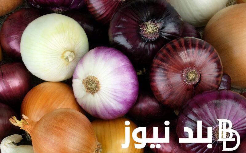 انخفاض اسعار البصل اليوم الاثنين 20 مايو 2024 في سوق العبور للمستهلك في مصر