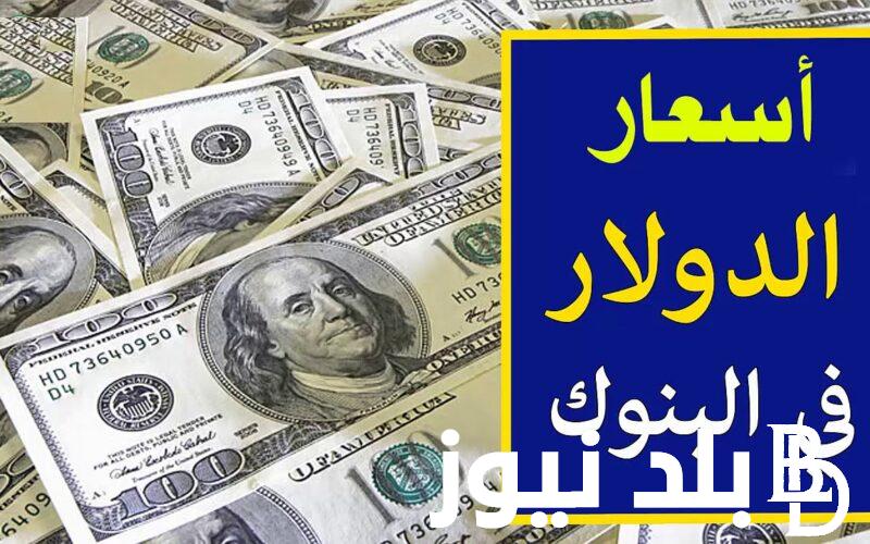 “بكام الاخضر” سعر الدولار اليوم مقابل الجنيه المصري في السوق السوداء والبنوك المصرية