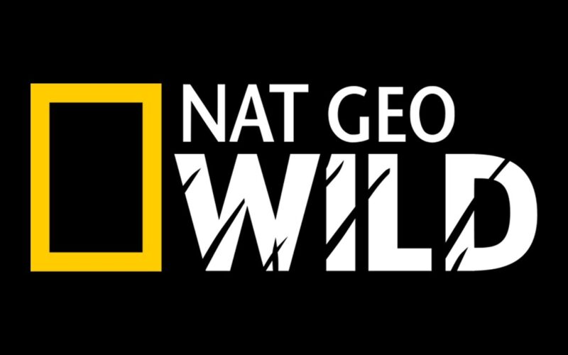 “الان إلتقط” تردد ناشيونال جيوغرافيك National Geographic 2024 على جميع الأقمار بأعلى جودة hd