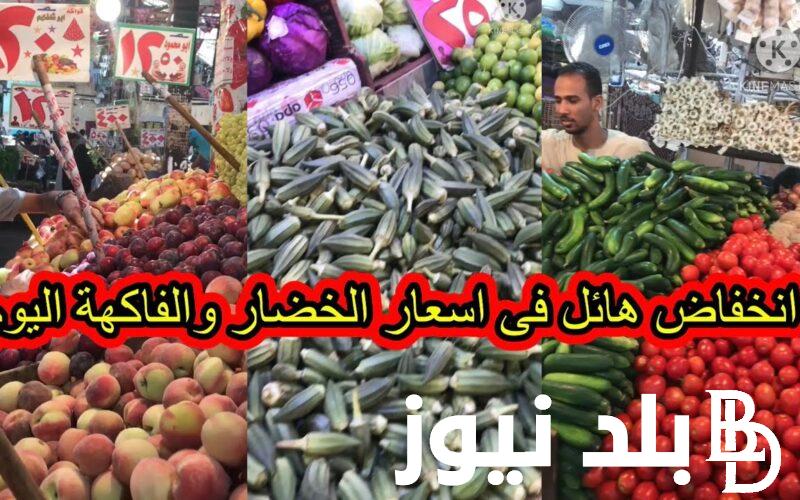 قائمة اسعار الخضار اليوم الثلاثاء 14 مايو 2024 في سوق العبور للمستهلك في مصر