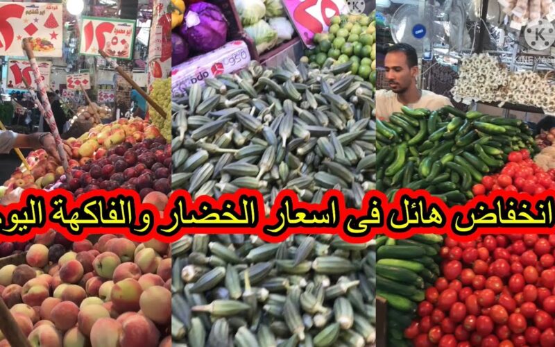 تفاصيل أسعار الخضروات والفاكهة بمصر اليوم الأحد 12 مايو 2024 للمستهلك و لتجار الجملة في سوق العبور