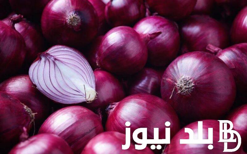 اسعار البصل اليوم الاربعاء 29 مايو 2024 في سوق العبور للمستهلك في مصر