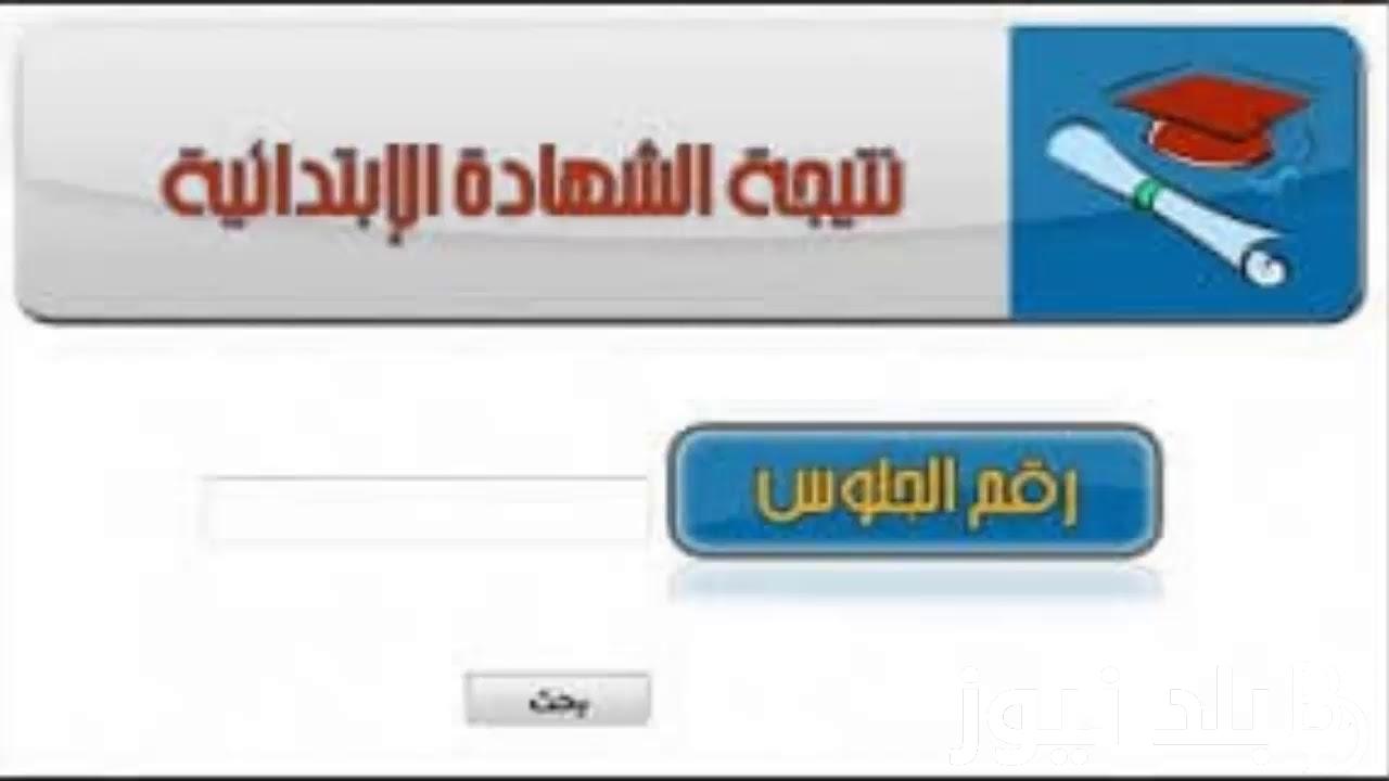 من هنا.. نتيجة الصف السادس محافظة السويس عبر eduserv.cairo.gov.eg