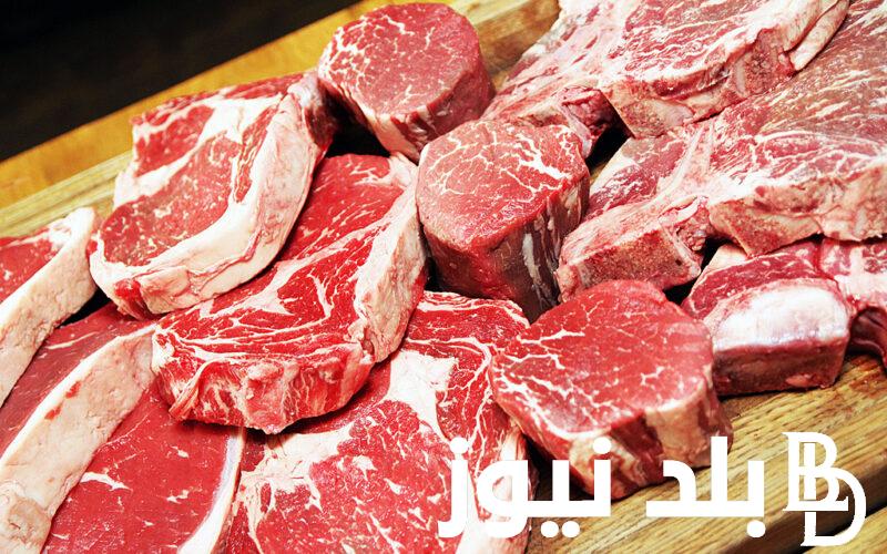 سعر كيلو اللحم البقري قائم اليوم الاربعاء 8 مايو 2024 في الأسواق المصرية قبل عيد الأضحى المبارك
