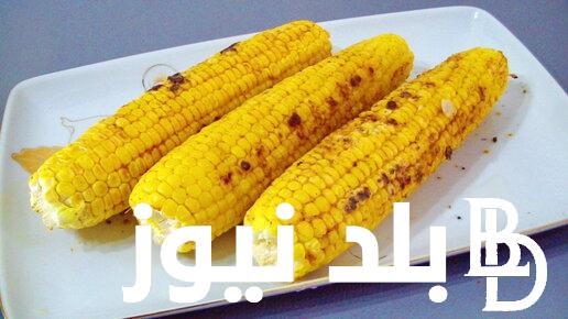 سعر طن الذرة الصفراء في مصر 2024 للمستهلك في جميع الأسواق المحلية