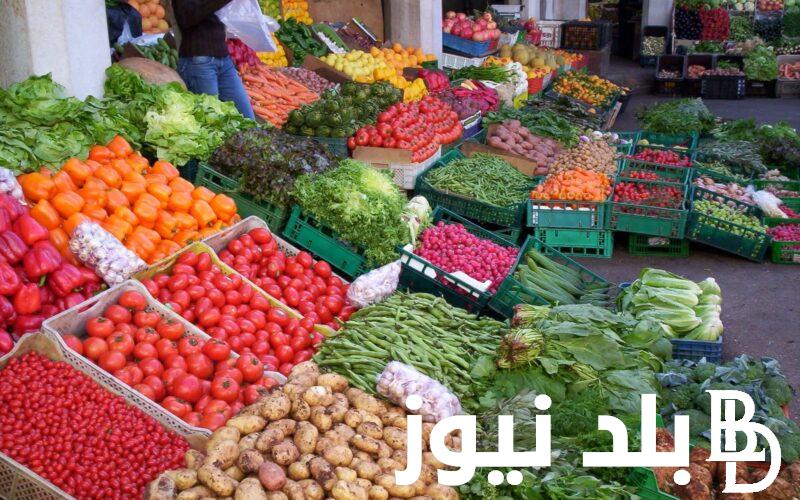 جدول أسعار الخضار اليوم الثلاثاء 14 مايو 2024 بسوق العبور بالقاهرة
