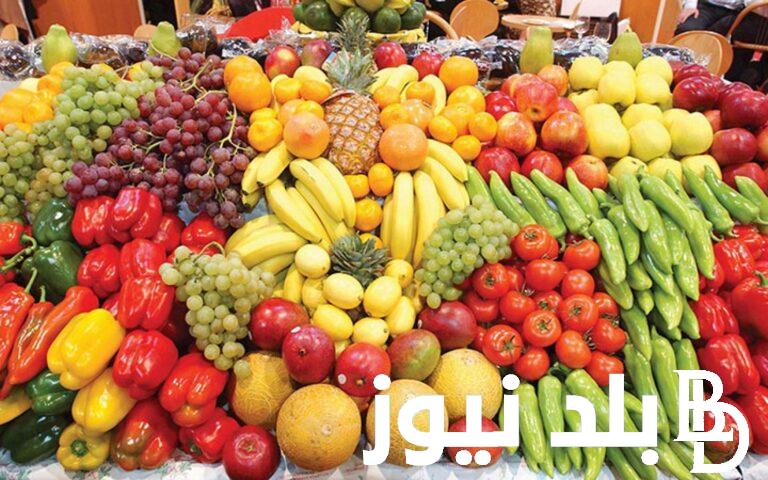قائمة أسعار الفاكهة اليوم الثلاثاء 21 مايو 2024 في سوق العبور للمستهلك في مصر