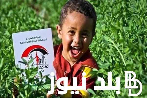 “إعرف معاشك بعد الزيادة” استعلام بالرقم القومي تكافل وكرامة 2024 عبر وزارة التضامن moss.gov.eg بالخطوات