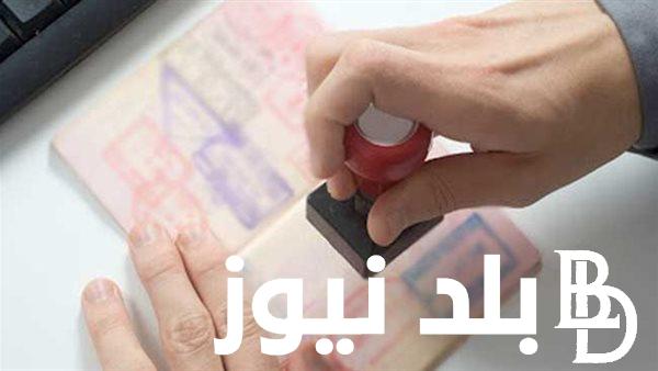 بالخطوات الكاملة.. استعلام عن تأشيرة زيارة برقم الجواز 1445 إلكترونيًا تبعًا لقواعد وزارة الخارجية السعودية
