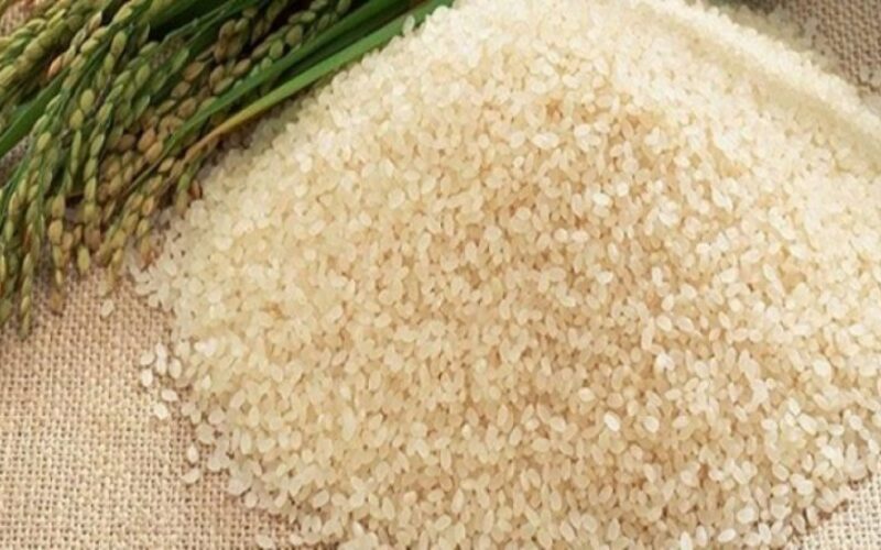 يا ترى الرز وصل كام؟ .. سعر طن الأرز الشعير اليوم الثلاثاء 28 مايو 2024 للمستهلك بالاسواق والمجمعات الاستهلاكية