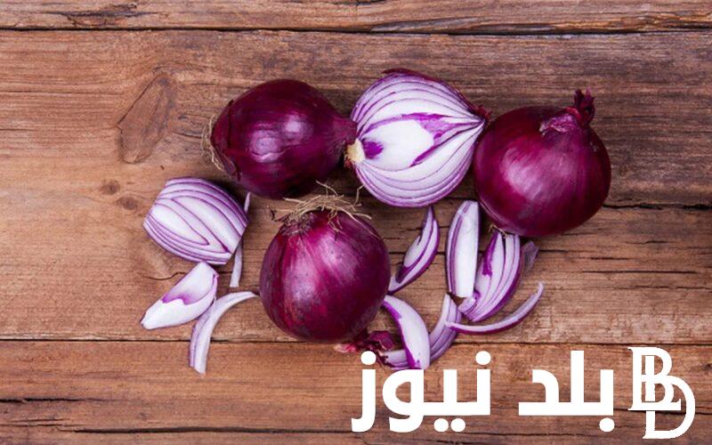القنطار وصل لكام؟.. أسعار البصل اليوم في سوق العبور السبت 11 مايو 2024