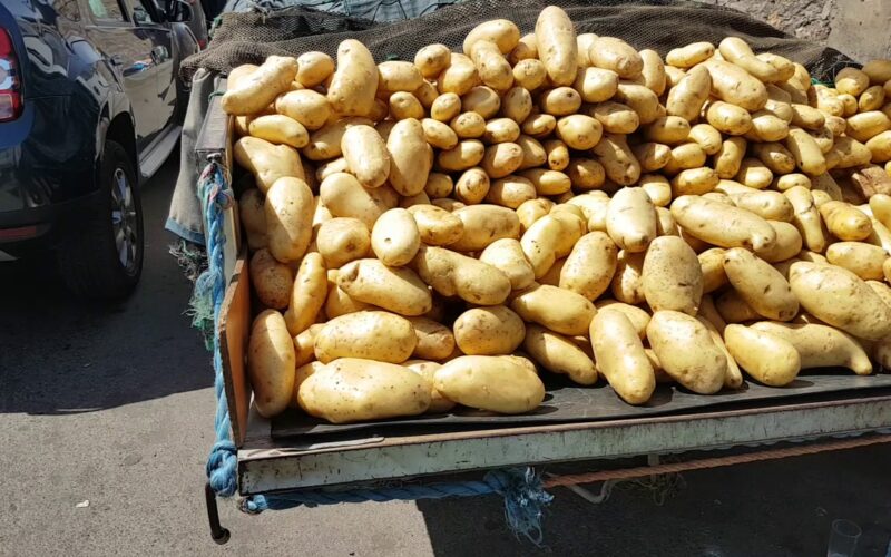 قائمة أسعار البطاطس اليوم في سوق العبور الاربعاء 29 مايو 2024 للمُستهلك في مصر