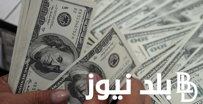 الاخضر بكام؟.. سعر الدولار في البنك المركزي و السوق السوداء اليوم الاثنين 27 مايو 2024