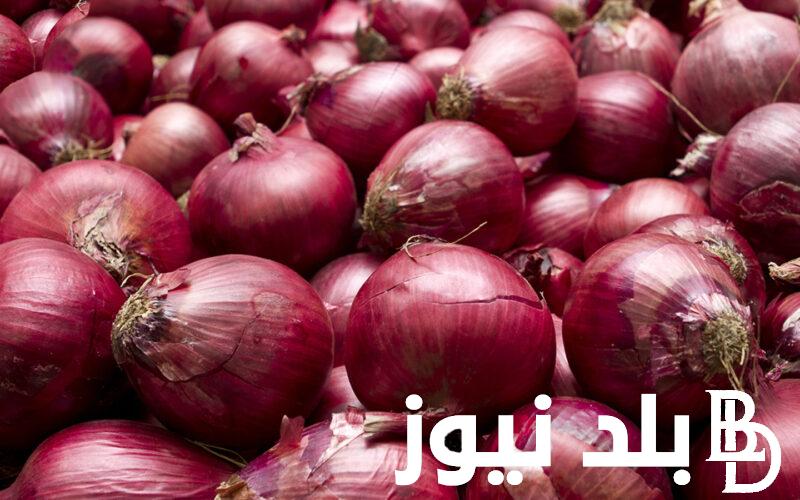 “وصل لــ15 جنيه” سعر البصل الاحمر اليوم السبت 4 مايو 2024 واسعار الخضراوات والفاكهة بالأسواق