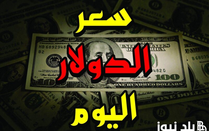 بكام الامريكي اليوم؟.. سعر الدولار اليوم في السوق السوداء الاثنين 27 مايو 2024 وجميع البنوك المصرية
