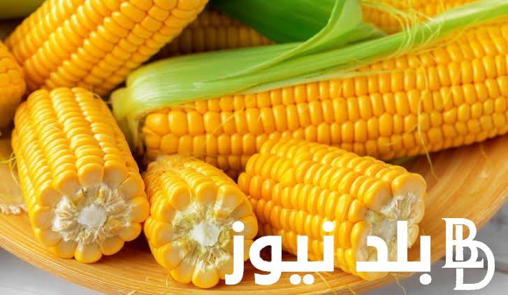 “الذرة الصفراء بكام؟” سعر الذرة اليوم الجمعة 3 مايو 2024 للمستهلك في الأسواق التجارية المصرية