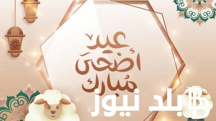 متى يصادف عيد الاضحى 2024 في مصر والوطن العربي؟.. مجلس الوزراء يُحدد