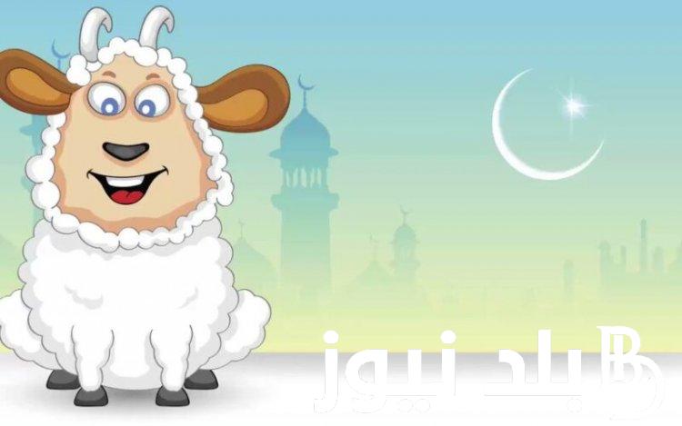 موعد عيد الاضحى 2024 في مصر ووقفة عرفات وعدد أيام إجازة عيد الأضحى