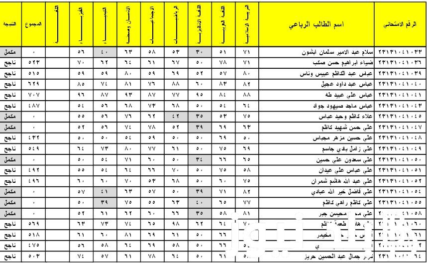 “ظهرت الان”.. نتائج السادس الابتدائي 2024 ذي قار موقع نتائجنا لجميع طلاب المدارس عبر results.mlazemna