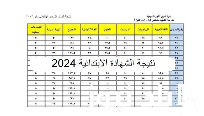 من هُنا.. نتيجة الصف السادس الابتدائي برقم الجلوس والاسم 2024 عبر eduserv.cairo.gov.eg
